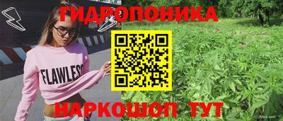 Альфа ПВП Будённовск