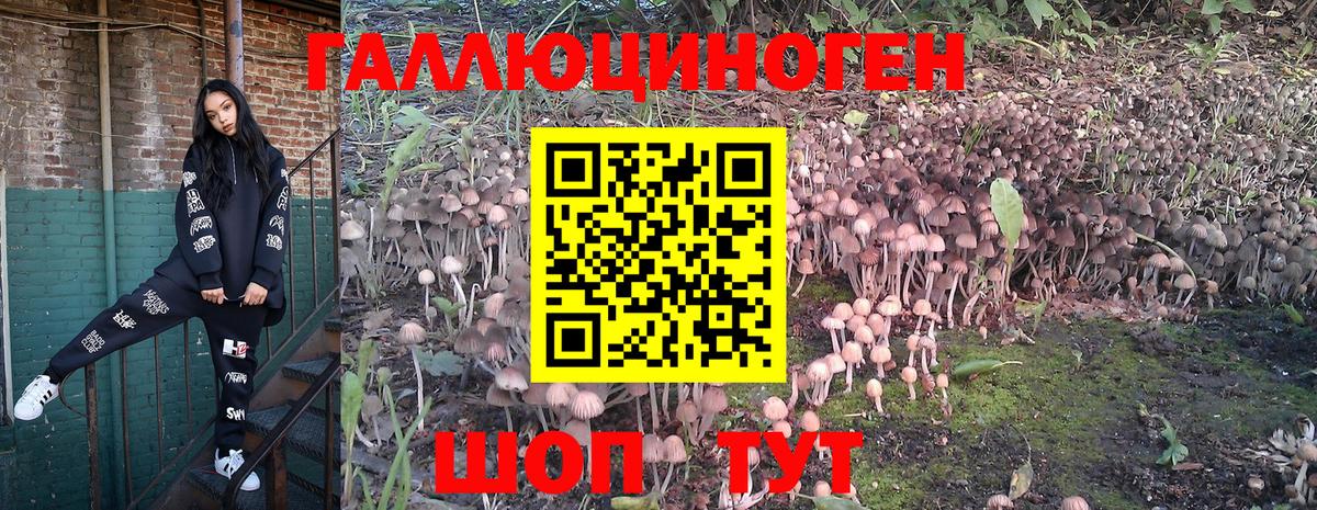 Псилоцибиновые грибы мухоморы  Вход с VPN  Партизанск 