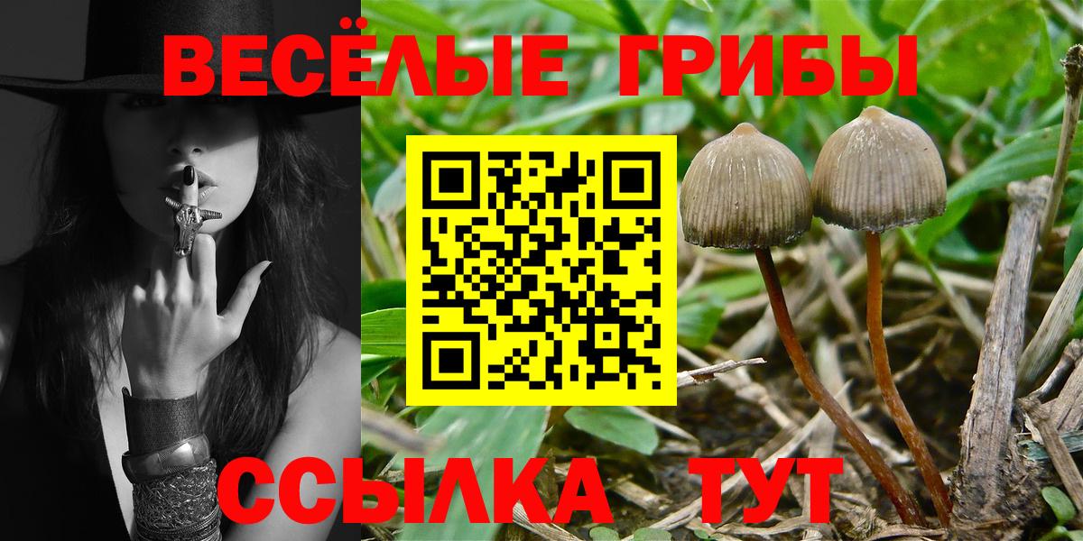 Купить наркоту  APVP СК   ГАШ  Партизанск  Меф кристаллы  КЕТАМИН  Канабис  Вход с VPN  КОКАИН 